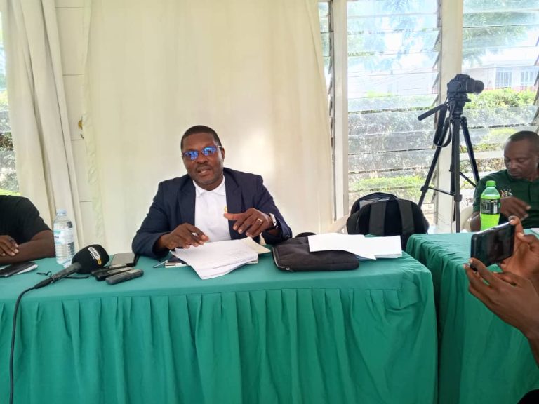 Media to promote labour externalization